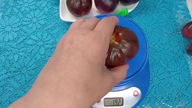 Обзор томата Синяя груша смотреть онлайн