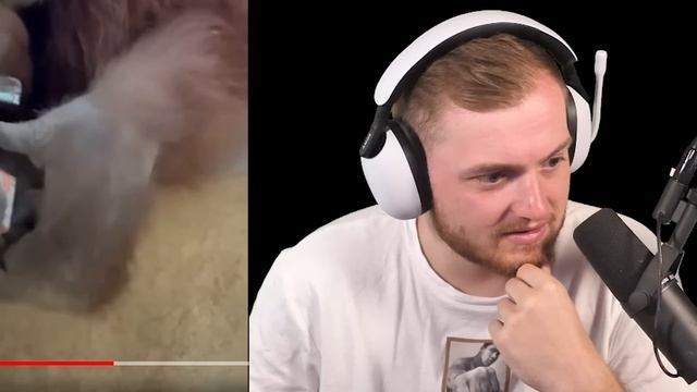 ??Sie FINDET CHEFSTROBEL in der MÜLLTONNE! - Daily DOSE REAKTION | Trymacs Stream Highlights смотреть онлайн