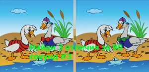 Найди 3 отличия за 90 секунд 3.