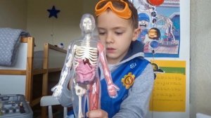 ТЕЛО ЧЕЛОВЕКА ДЛЯ ДЕТЕЙ