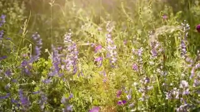 Уходи. Поёт Людмила Зыкина.