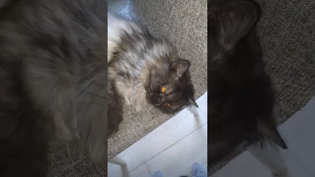 все места заняты смотреть онлайн