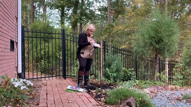 Pinball Wizard Allium смотреть онлайн