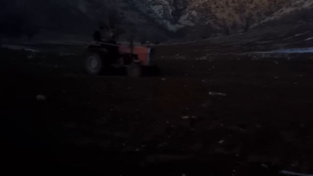 Surviving The Nomadic Life: A Tale Of Resilience And Empathy