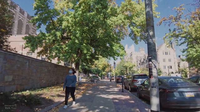 Yale University [Part 1] - Virtual Walking Tour [4k 60fps]