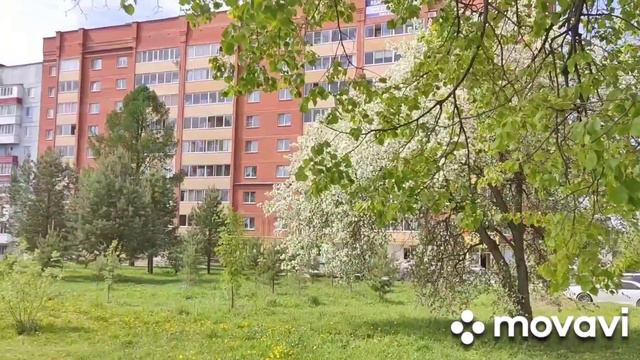Один раз в год сады цветут 🌸//Лысьва//Май (20.05.2023г.) смотреть онлайн