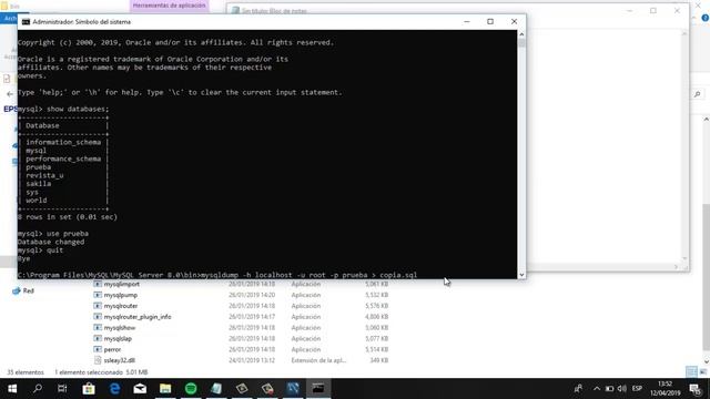 Importar Exportar BD MYSQL(Linea de Comandos) смотреть онлайн