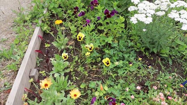 A Late Spring Allotment Tour May 2023 смотреть онлайн