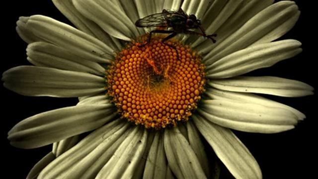 Слушать хорошую русскую песню в твоих наушниках... смотреть онлайн