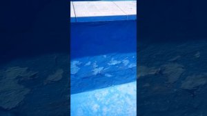 Резиновая краска для бассейна реальный отзыв