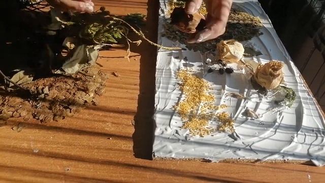 Мастер-класс по созданию коллажа от художника районного Дома культуры Алёны Содомовой. смотреть онлайн