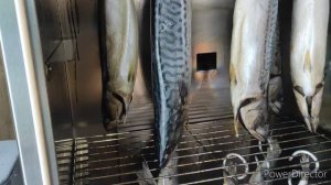 Скумбрия холодного копчения..Подробный рецепт..Коптилка Hobbi Smoke