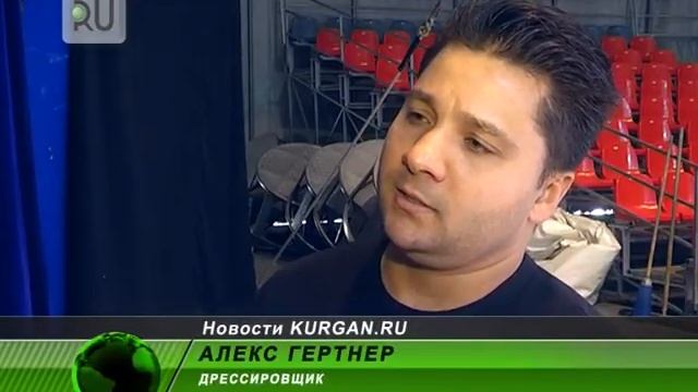 Верблюды и лошади из цирка братьев Гертнер готовятся к выступлениям смотреть онлайн