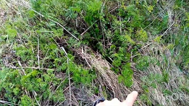 Стальное колесо.#металлокоп #копметалла2022 смотреть онлайн
