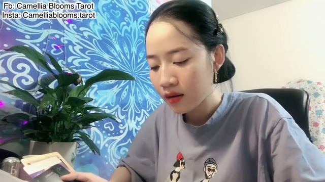 Lời Kêu Gọi Từ Mùa Trăng / Trăng Non || Camellia Blooms Tarot смотреть онлайн