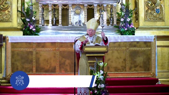 Msza św. w Katedrze na Wawelu z okazji 400-lecia obecności franciszkanów w Polsce смотреть онлайн
