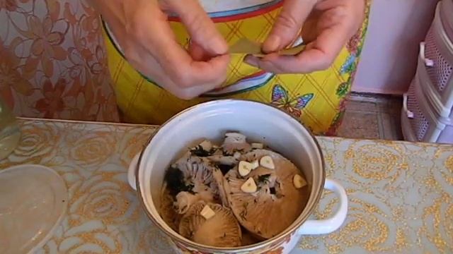 Мода и Стиль