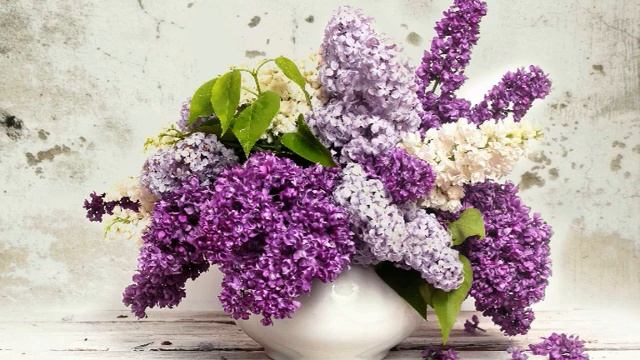 Медитация на наполнение жизненных сил для женщин смотреть онлайн