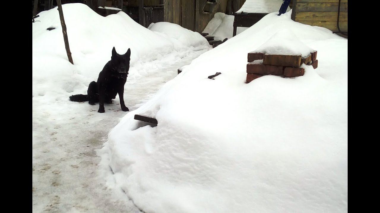Снег идёт смотреть онлайн