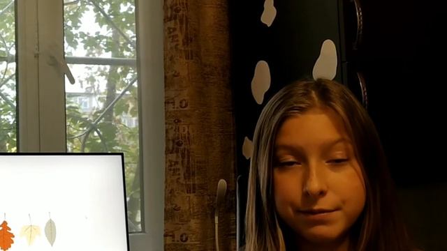Как улучшить видео звук с помощью телефона??? смотреть онлайн