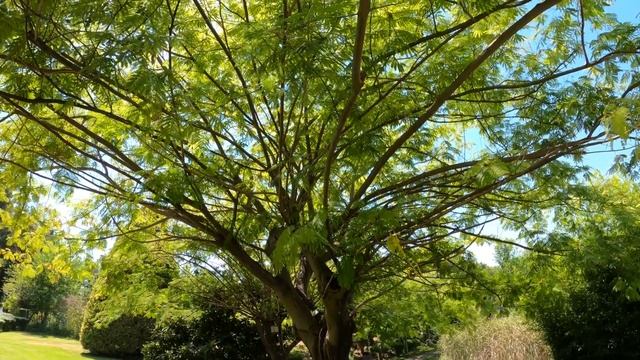 Путь в братство