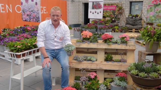 Succulents - Showgarden Highlights 2020 смотреть онлайн