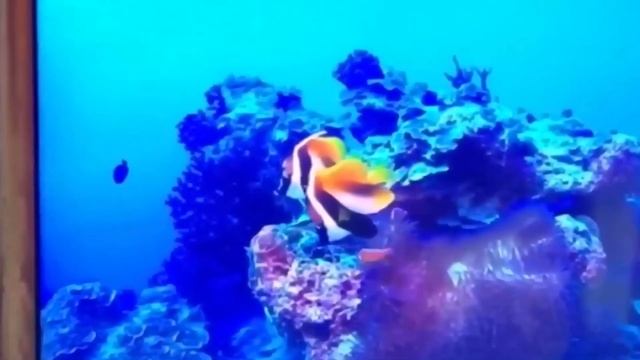 Телевизор STARWIND SW-LED42BB200