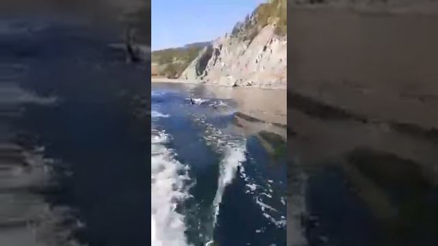 Рыбалка-Магадан 2020г. ч.2 смотреть онлайн