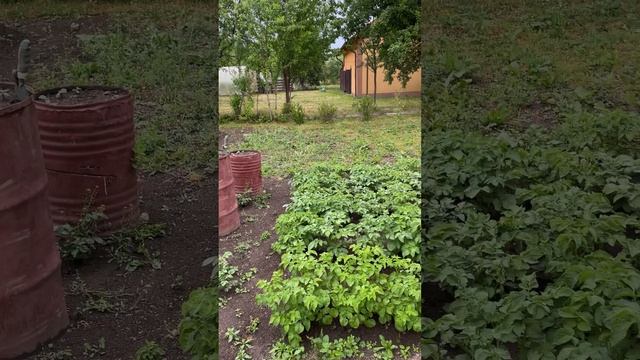 дом в Калининградской области НА ПРОДАЖЕ