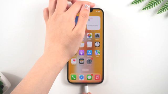 ReiBoot V9.0.0 User Guide: How To Enter Recovery Mode With 1 Click - 2023 Update