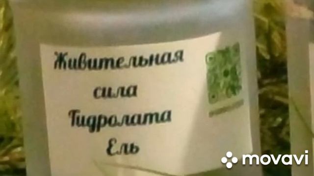Гидролаты из хвой . Кедр , Сосна , Ель , Пихта Гидролаты .