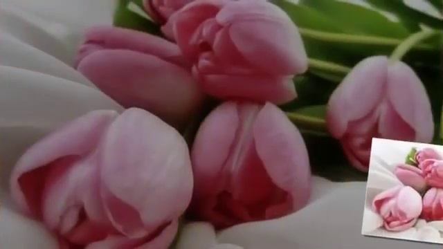 Поздравление для мамы к 8 Марта смотреть онлайн