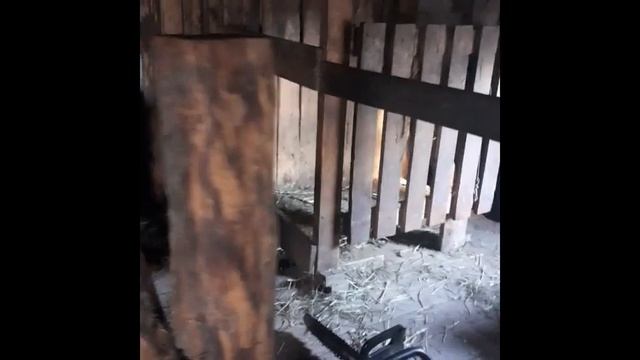 Свинарник, работа над ошибками