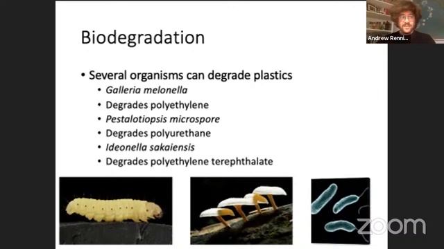 Plastic waste, recycling and bio-valorisation смотреть онлайн