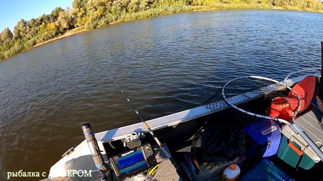 Этот воблер сделал мне рыбалку, восемь клыкастых подряд на Yo-Zuri Crystal Minnow DD 130мм 6-8м смотреть онлайн