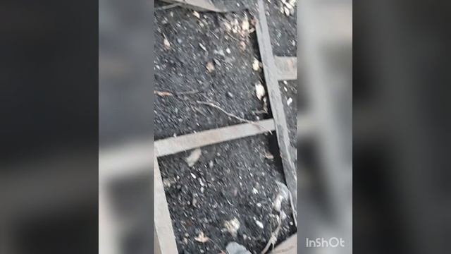 Поиск чермета.