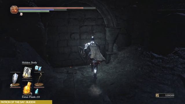 Dark Souls 3 Platinum Trophy Guide 28 / NG++ Untended Graves to Archdragon Peak смотреть онлайн