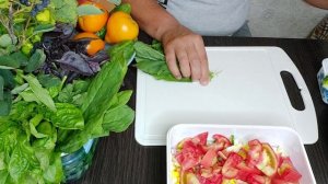 Вкуснейший салат из подорожника I Рецепты от Рассы