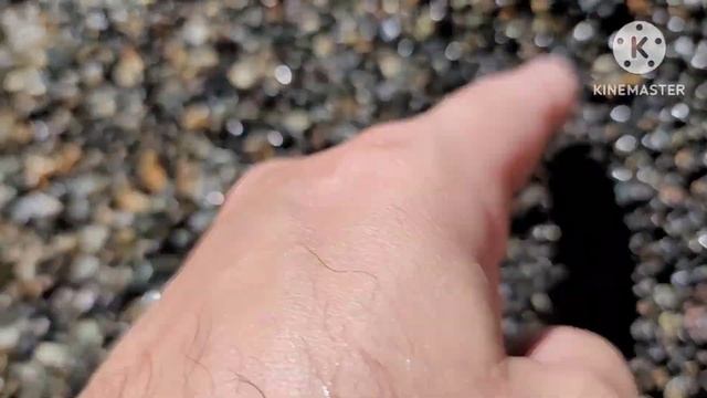 Сапфир. начало поиска. смотреть онлайн