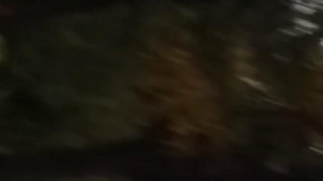 Прогулка смотреть онлайн