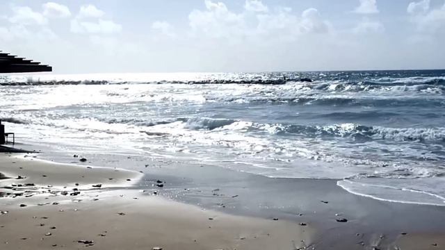 Haifa beach смотреть онлайн