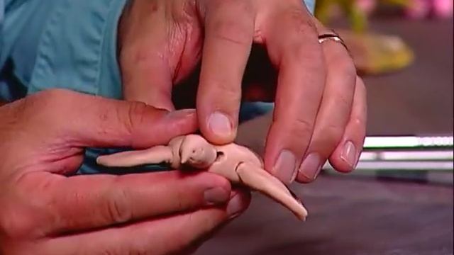 Creations in Clay Sea Turtle - Clay tutorial for beginners смотреть онлайн