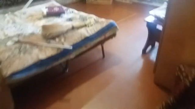 Хозяин дал Добби носок смотреть онлайн