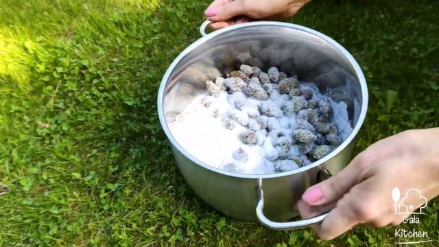 Вкусное варенье из сосновых шишек смотреть онлайн