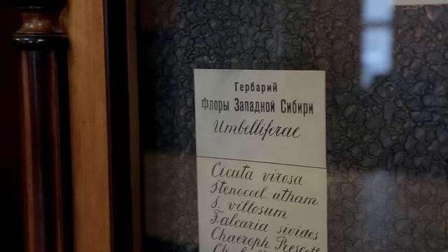 Музеи и библиотека Императорского Томского университета смотреть онлайн