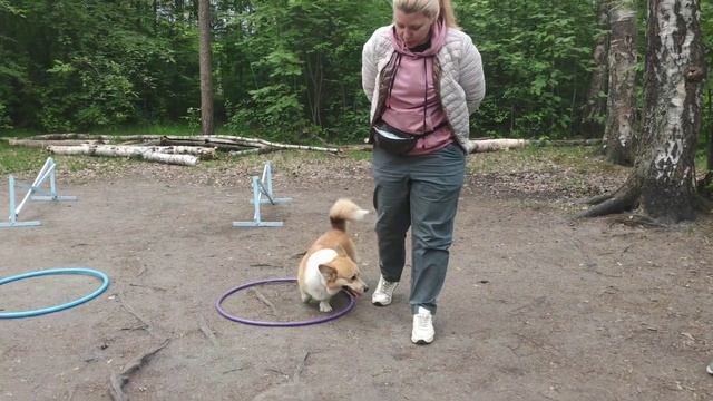 КМС - 205 отзыв