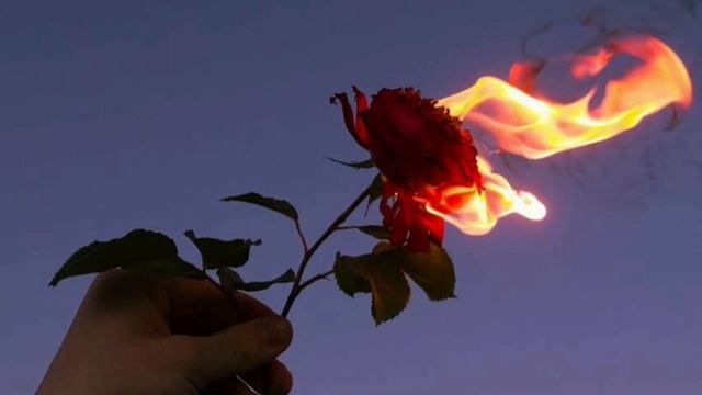 ДУША МОЯ РОЛНА РЕМИХ | DUSHA MAYA PALNA REMIX ❤ смотреть онлайн