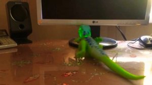 Распаковка игрушки ящерица Которая умеет ползать