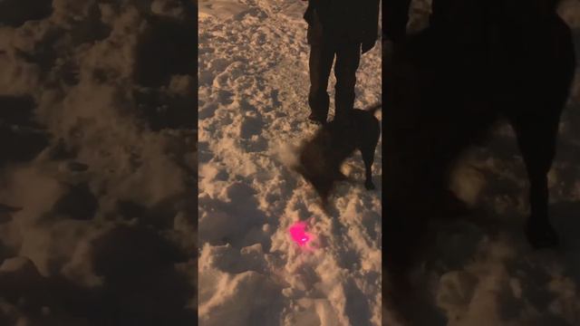 Я тебя поймаю и закопаю, но это не точно😀 смотреть онлайн
