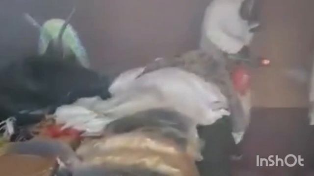 Обработка туманомТравить клопов уничтожение тараканов. Дезинфекция смотреть онлайн